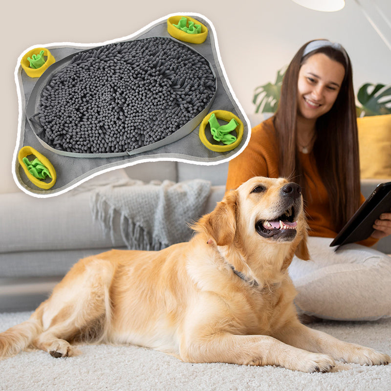 Enhance Your Dog's Playtime with the Snuffle Mat